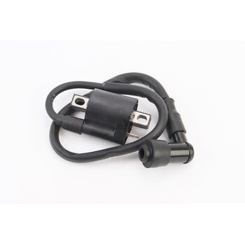 Катушка зажигания с насвечником CG/CB